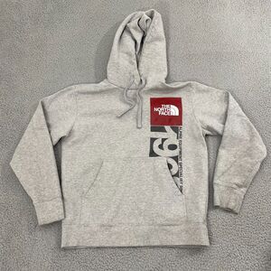 The North Face Hoodie Men M Gray Alpine Equipment Gorpcore Pullover